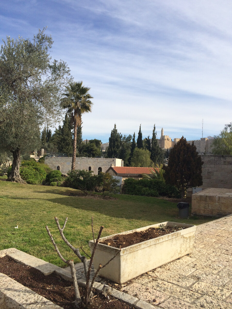 Иерусалим. 3 февраля. А что там в нас в Москве? Фото автора 