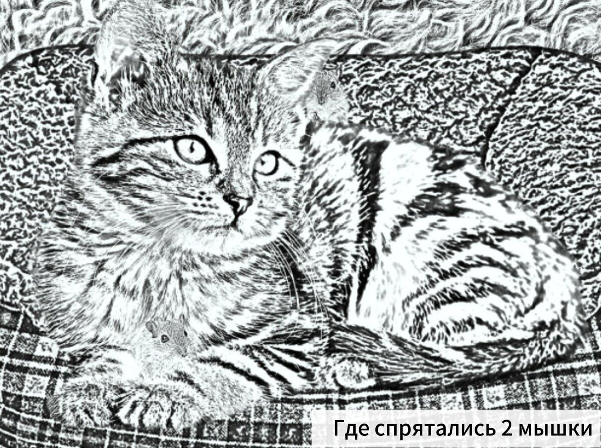 (a+n-1). Заполни пропуски 1ч 25мин. Выразить в секундах 2мин. Вычислите 1 мин. Как переводить градусы в секунды.