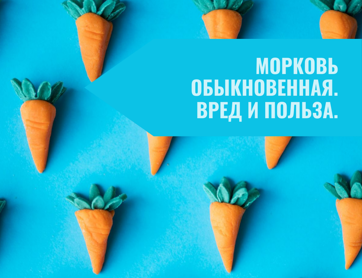 Морковь обыкновенная. Вред и польза. Image by Pixabay user rawpixel