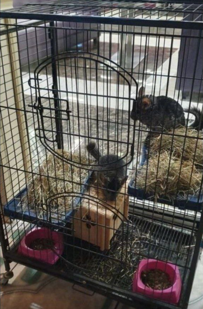 Вот в таких ужасных условиях они жили в кафе