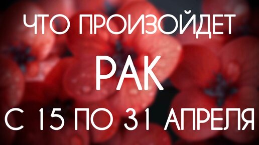 Рак. Период с 15 по 30 Апреля 2024. Таро-гороскоп