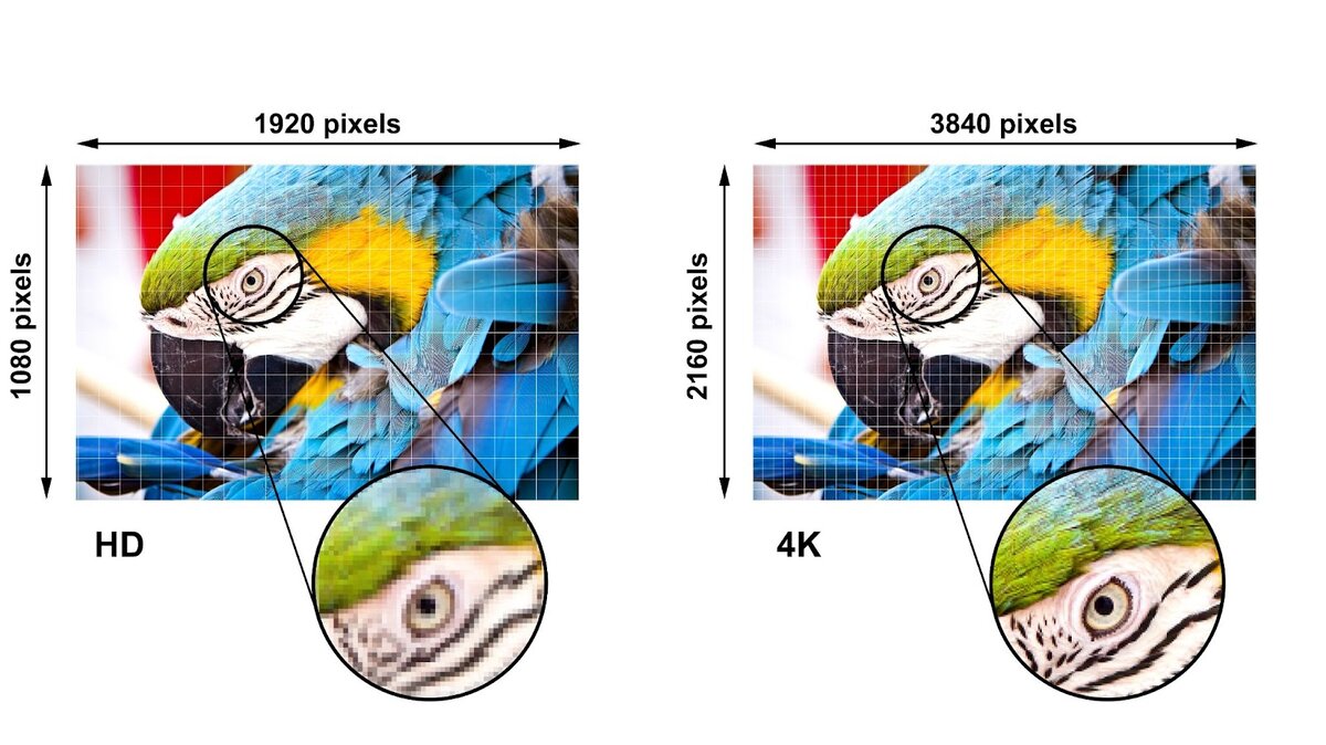 В чём отличие форматов Full HD и 4К и какой выбрать для домашнего просмотра  | Сибсети | Дзен