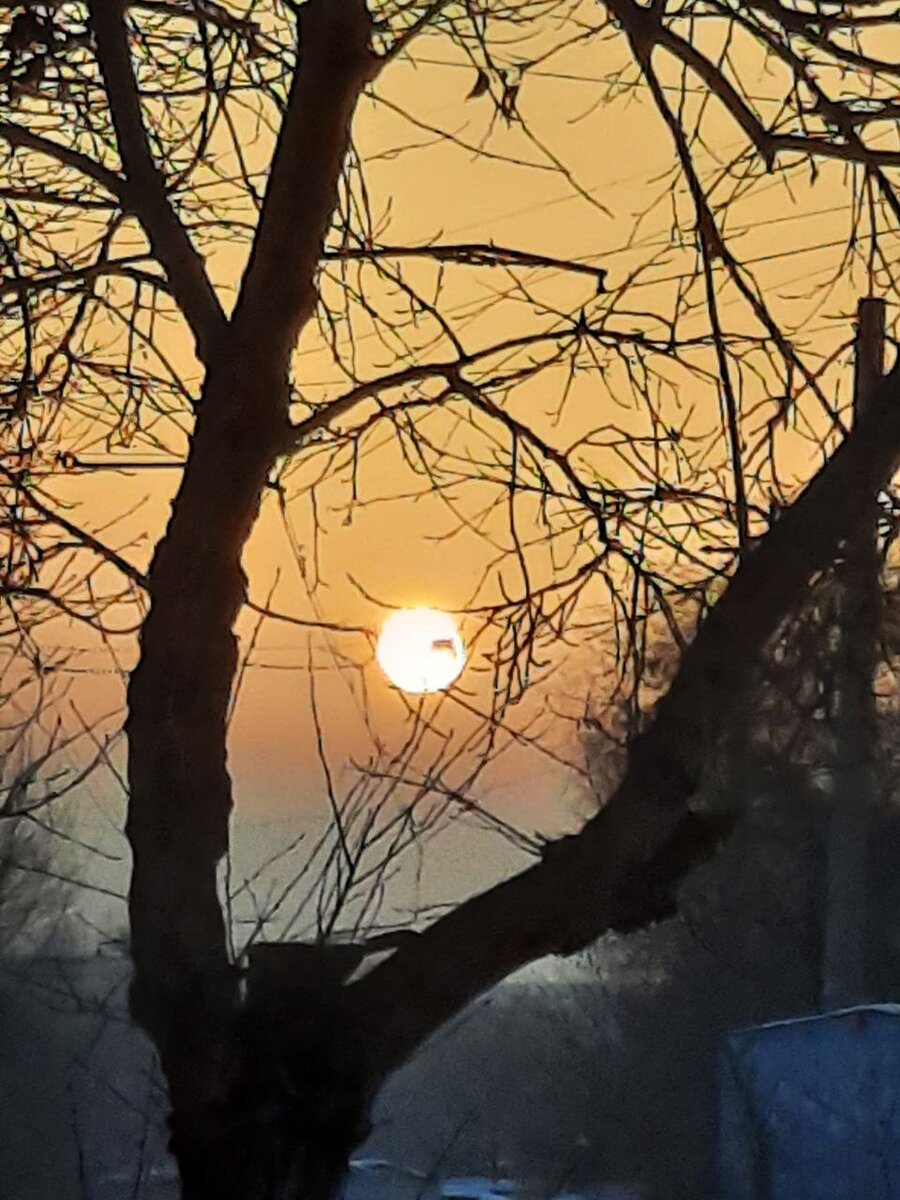 Фото автора.