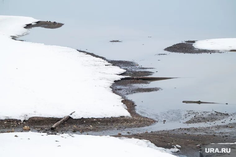 Бизнесмен приостановил деятельность до выяснения обстоятельств с превышением веса