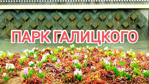 Россия. Краснодар. Парк Галицкого.