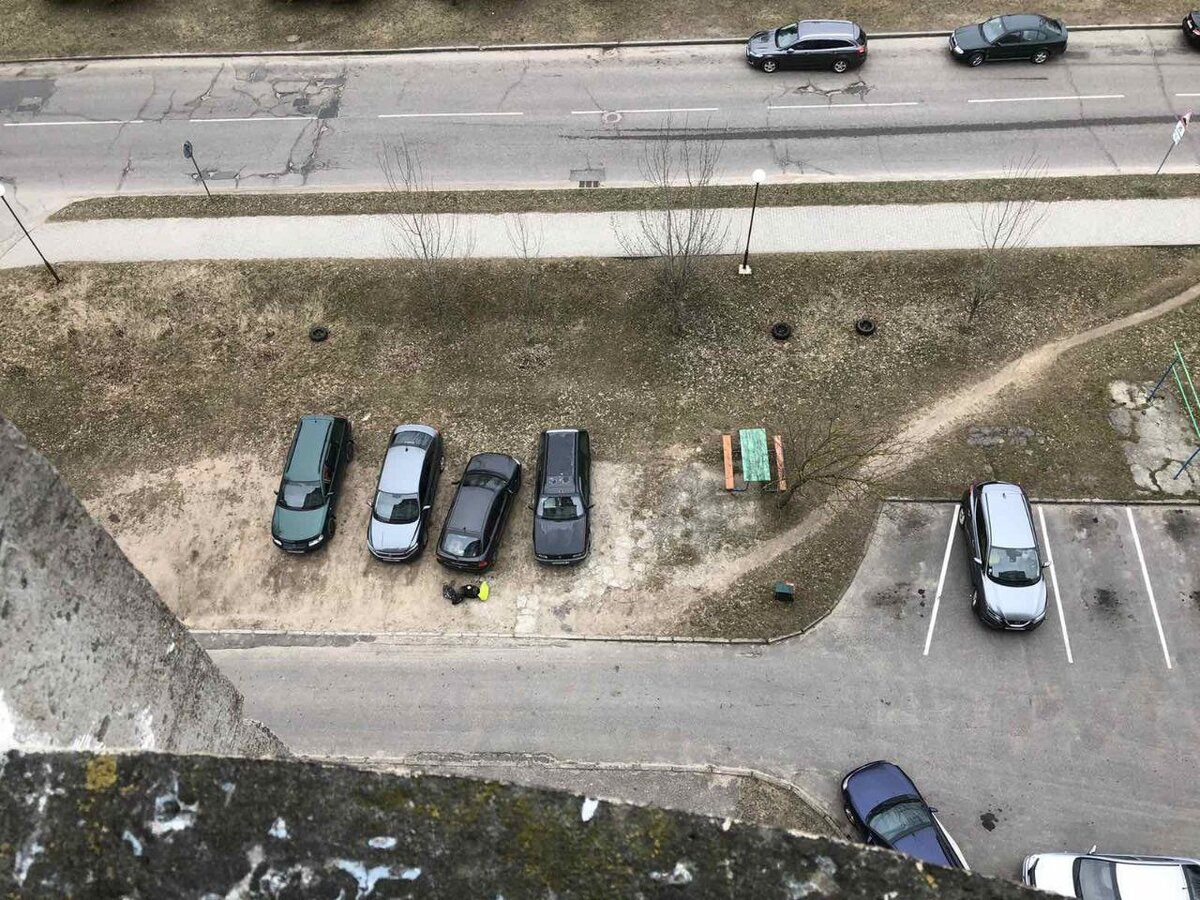 В Слониме тухлая курица пробила лобовое стекло припаркованной у многоэтажки  легковушки: виновного нашли очень быстро | Новости Гродно s13.ru | Дзен