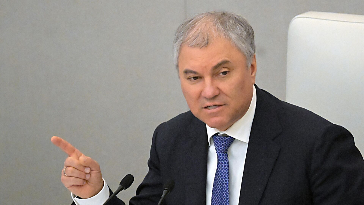 Спикер Госдумы Вячеслав Володин / РИА Новости / Владимир Федоренко 