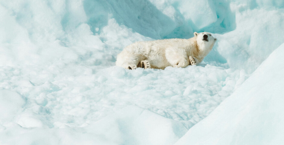    Фото: Annie Spratt/Unsplash