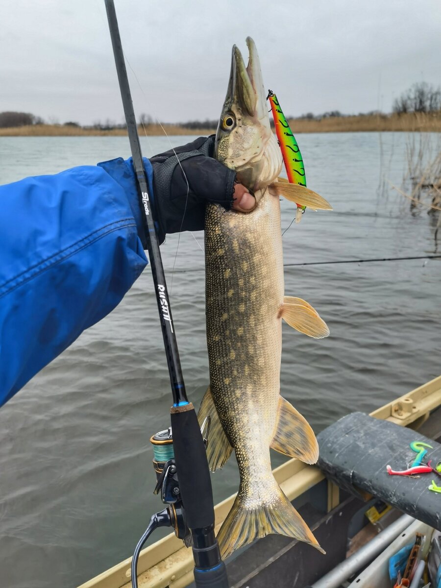 период клева щуки. лунный календарь клёва рыбы на 2022. рыболовный календарь. лунный календарь для рыбалки 2022. таблица клева щуки.