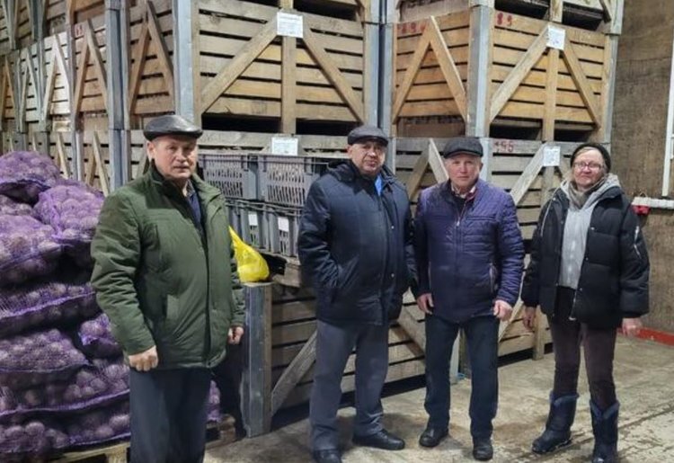    Картофель семеноводческого хозяйства «Агросмоленское» лучше импортного по мнению жителей Иркутска
