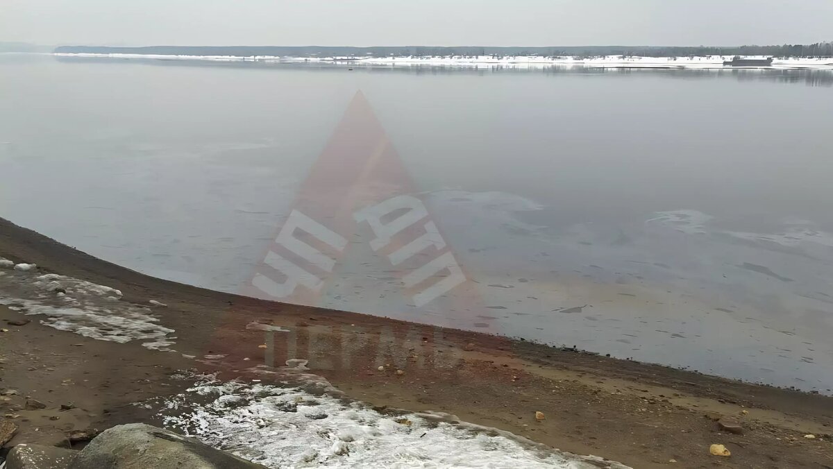     На место выехал дежурный инспектор Росприроднадзора.