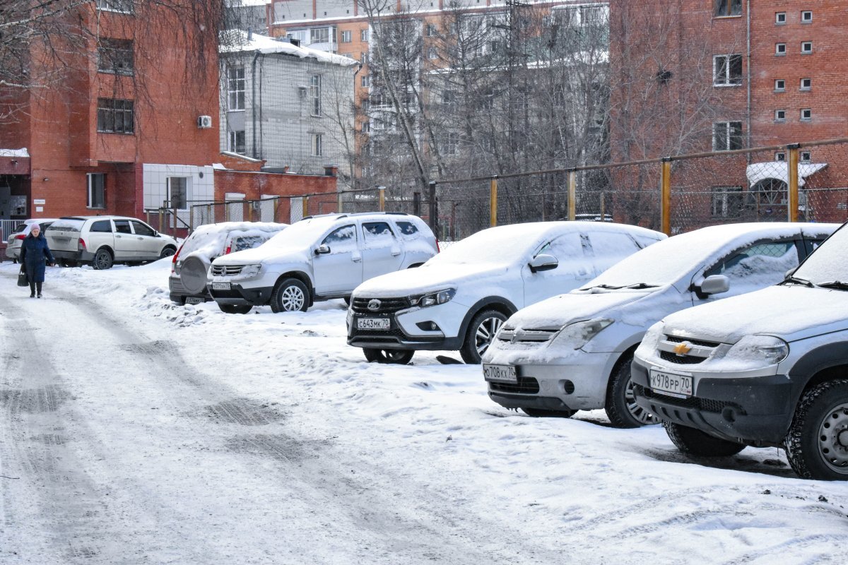 Больше всего томичи заботятся о своем здоровье и авто | АиФ-Томск | Дзен