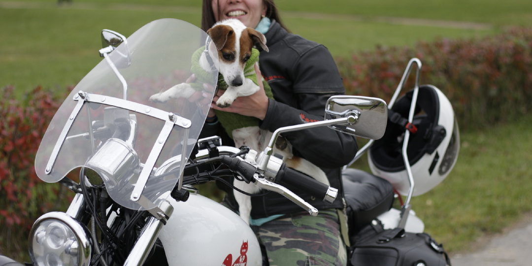 Приветствие мотоциклистов