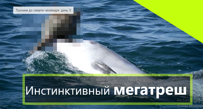Конкурс на лучшую шутку про активацию Виндовс