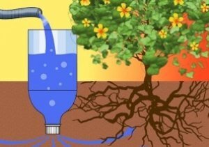 Метод полива, при котором вода поступает непосредственно к корням растений из грунта, а не льется сверху, называют капельным.