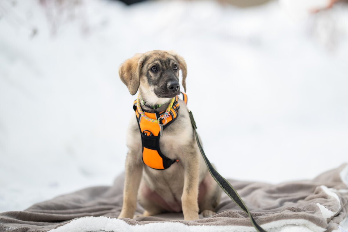 Опять наговаривают