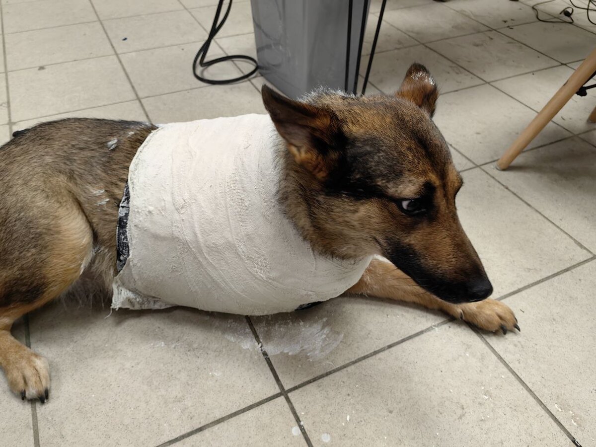 Снятие слепка для сканирования