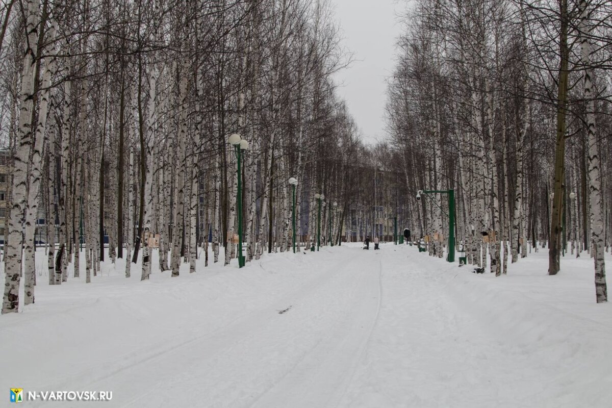    В Нижневартовске обновят парк Победы