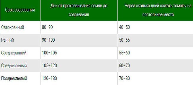 Яндекс картинки