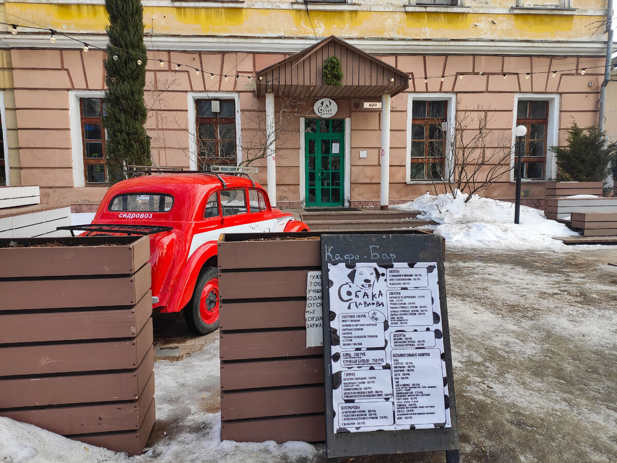 Собака Павлова. Атмосферное заведение в Рязани с невысоким ценником и  вкусной едой | Обо всем с 