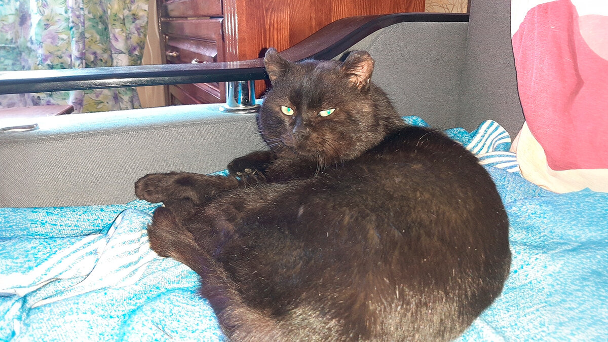 фото из архива автора