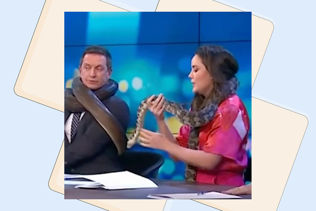    theprojecttv / Instagram (входит в корпорацию Meta, признана экстремистской и запрещена в России)
