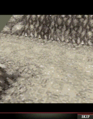 Разработчики потрудились над игрой