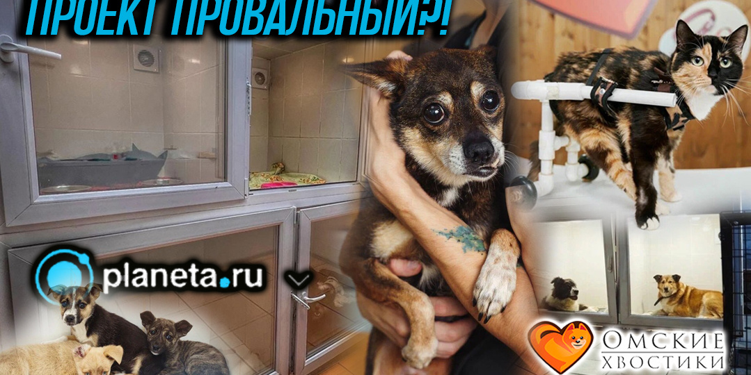 В борьбе за право хвостиков на жизнь!