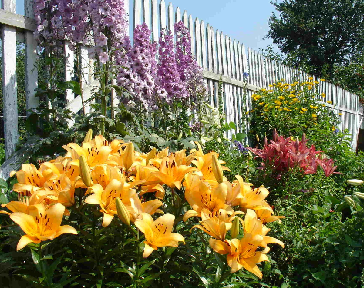 Из свободных источников