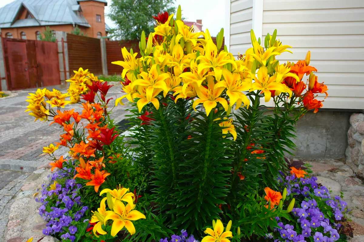 Из свободных источников