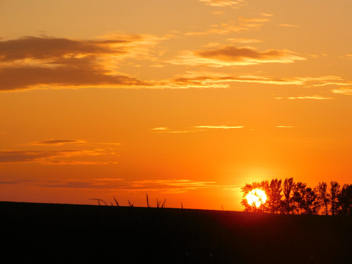 Фото автора канала