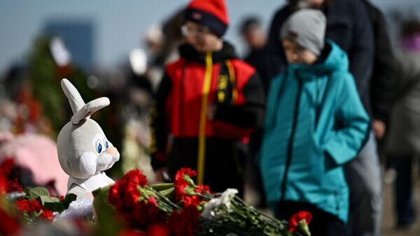    © Sputnik / Григорий Сысоев