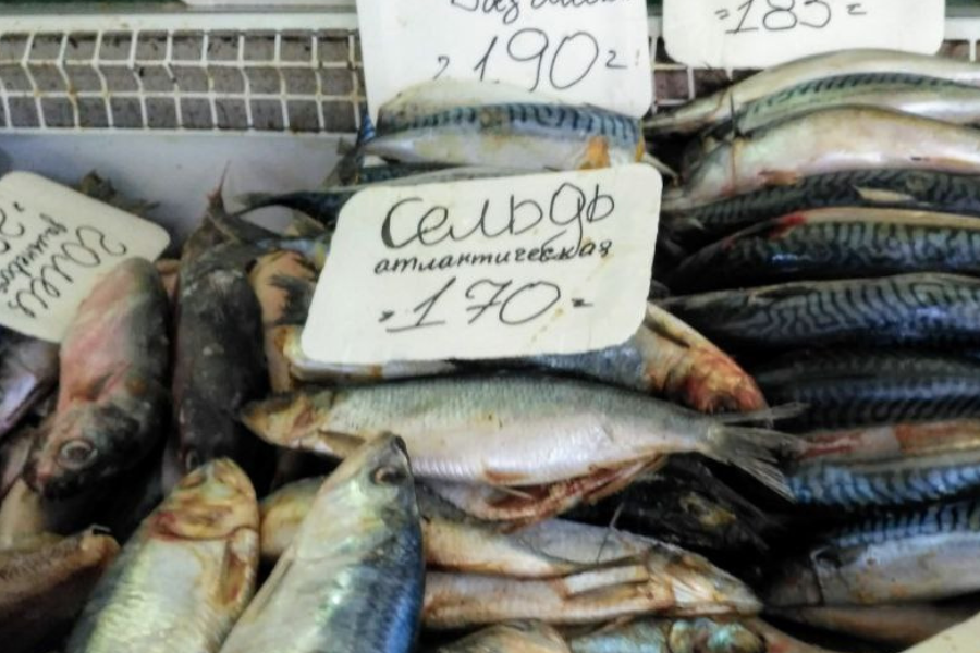 Селедка. Рыба. Вкусные рецепты. В домашних условиях.