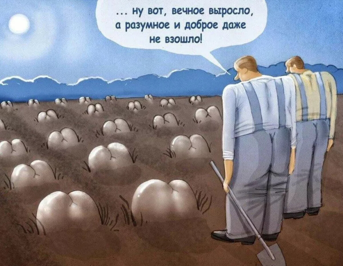 источник Яндекс-картинки