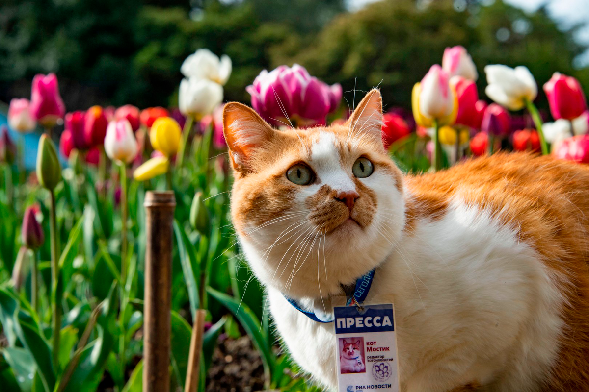 Осторожно. В этой статье слишком много красоты!