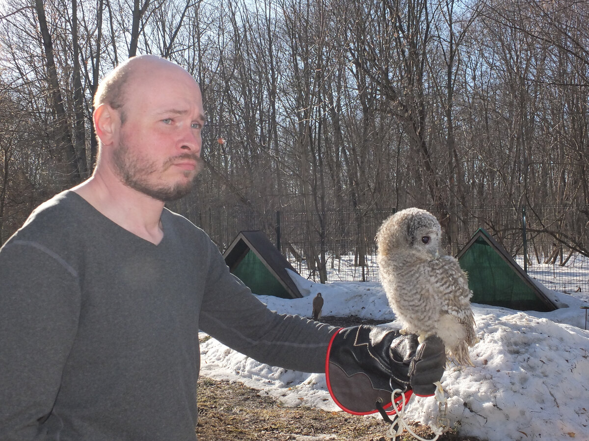 Винни в профиль