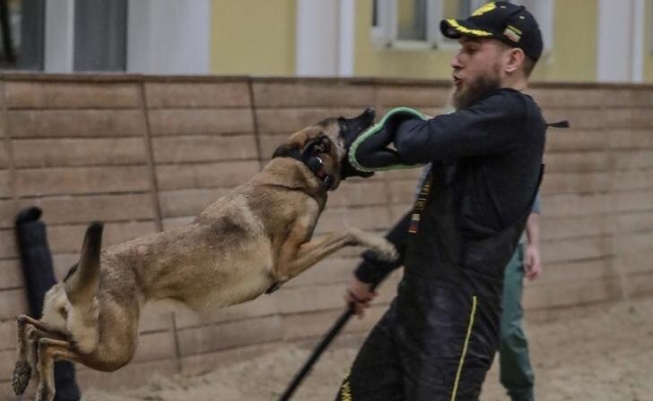    Юрий Еськов/Курские известия