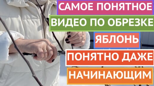 КАК ОБРЕЗАТЬ ЯБЛОНЮ ВЕСНОЙ: ПОКАЗЫВАЮ И РАССКАЗЫВАЮ ПРОСТЫМ И ПОНЯТНЫМ ЯЗЫКОМ!