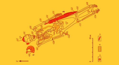 План погребения, в котором нашли римский меч
Владимир Маслов и Павел Успенский / Краткие сообщения Института археологии, 2024. Схема из журнала N+. 