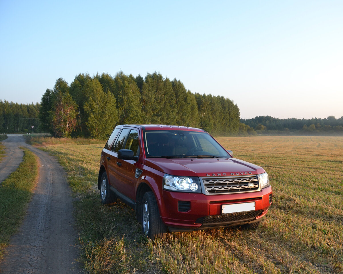 Land Rover Freelander 2 (Лэнд Ровер Фрилендер 2). Стоит ли покупать? | На  Фриле по России чиллим | Дзен