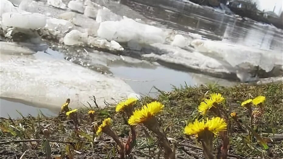 За окном весна!