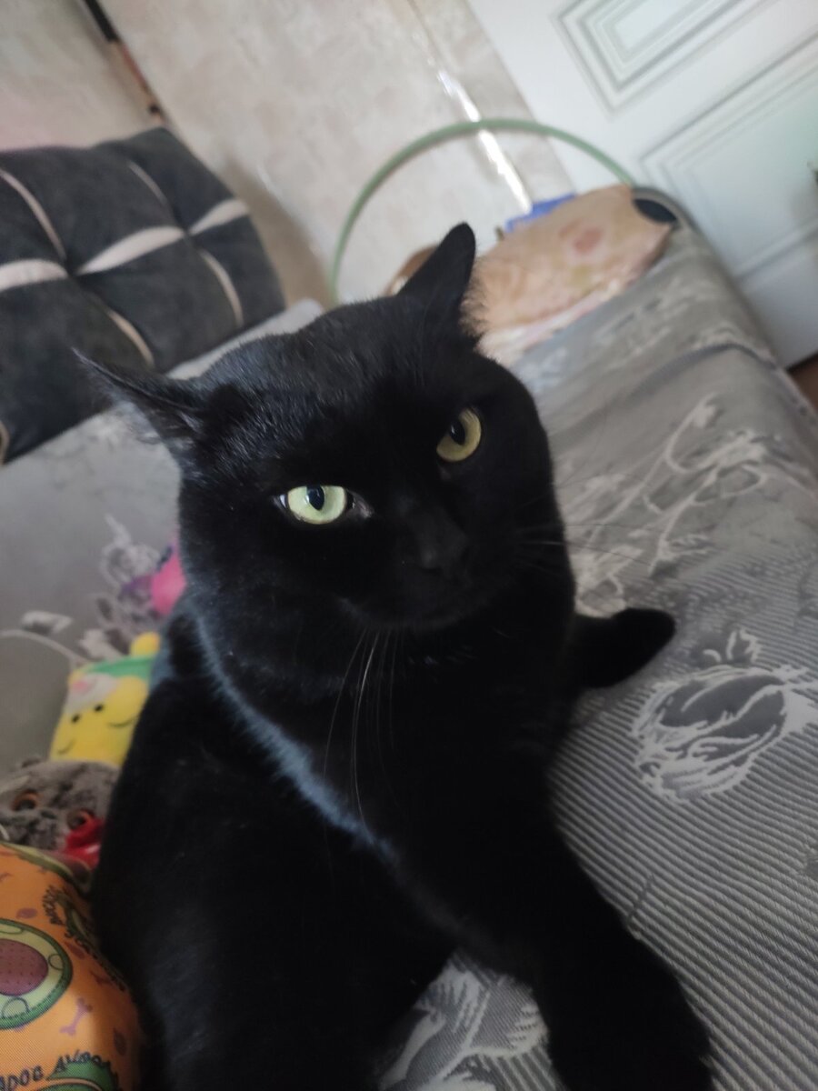 Фото автора. 