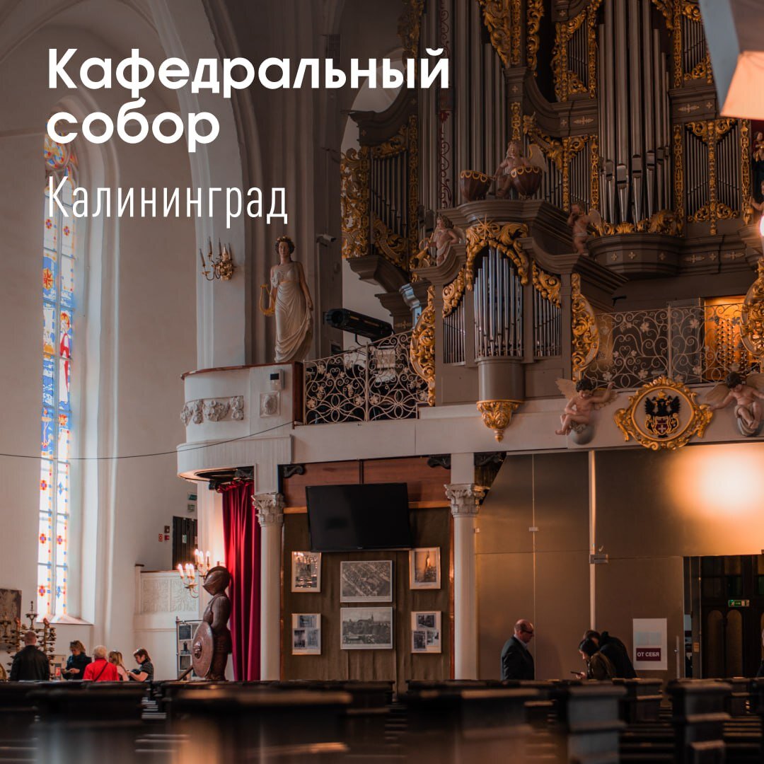 © teimy_photos/ Shutterstock