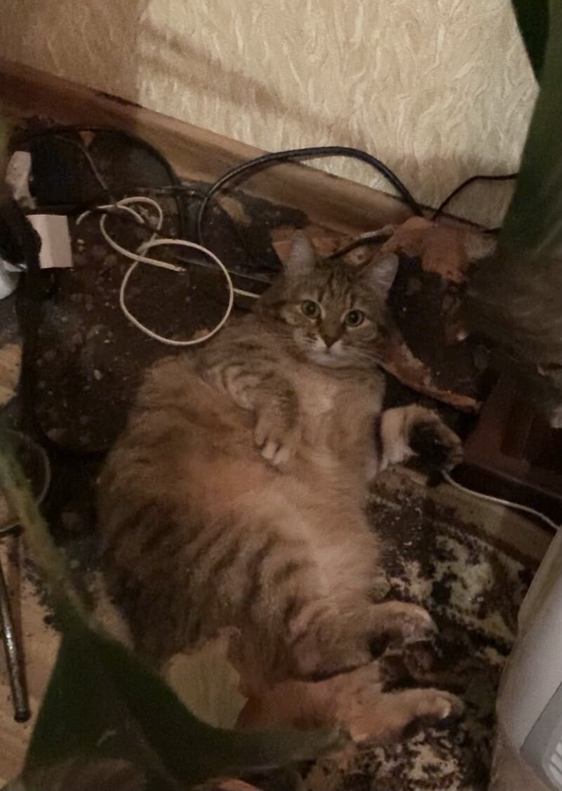 Как погибло мое «женское счастье…» фото из личного архива 