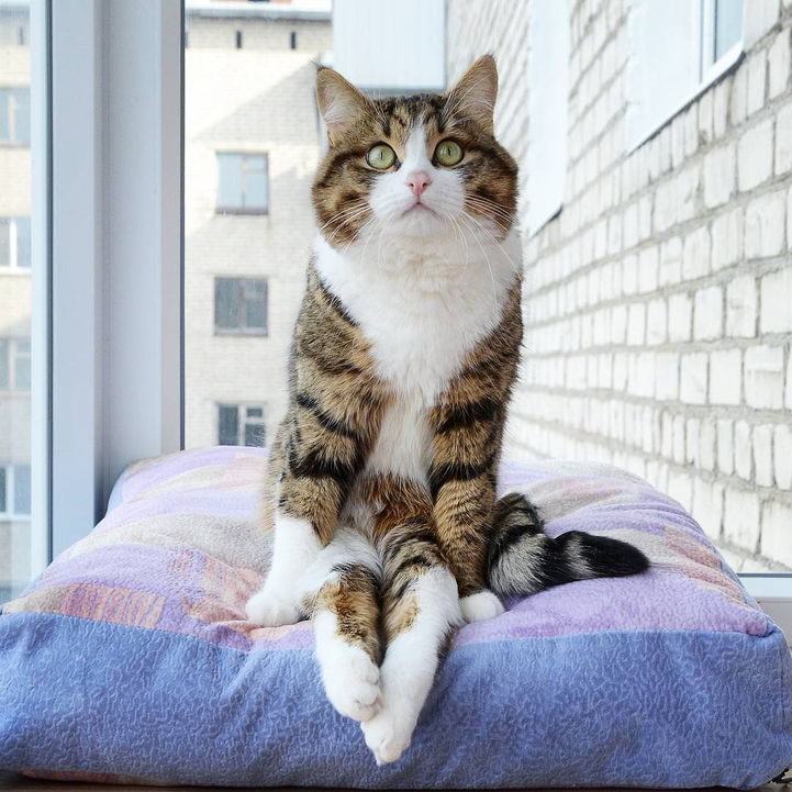 Источник: Яндекс картинки