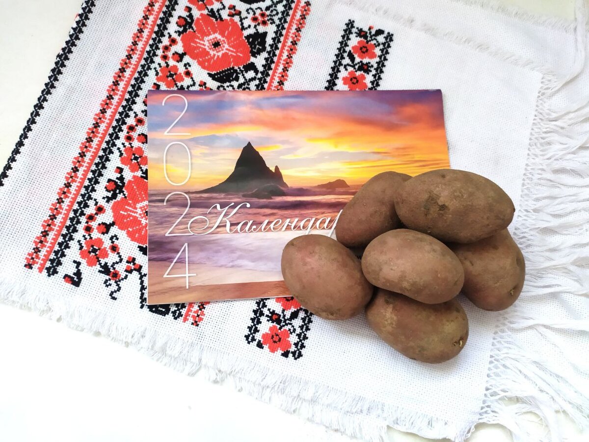 Выбирая самые подходящие дни для посадки картошки, я изучаю не только обычный календарь, но и лунный