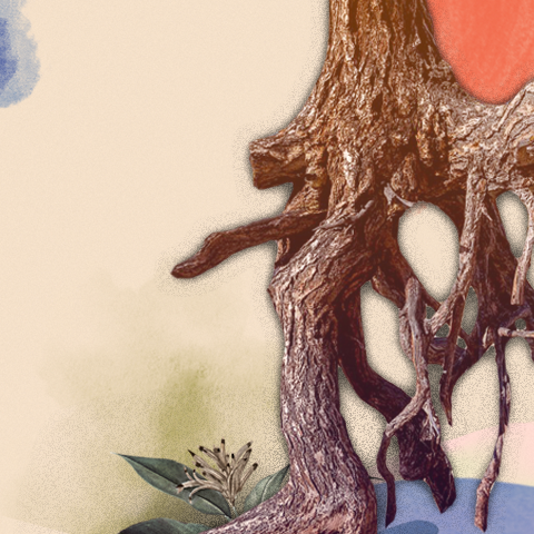 Фото: Первый Байкальский