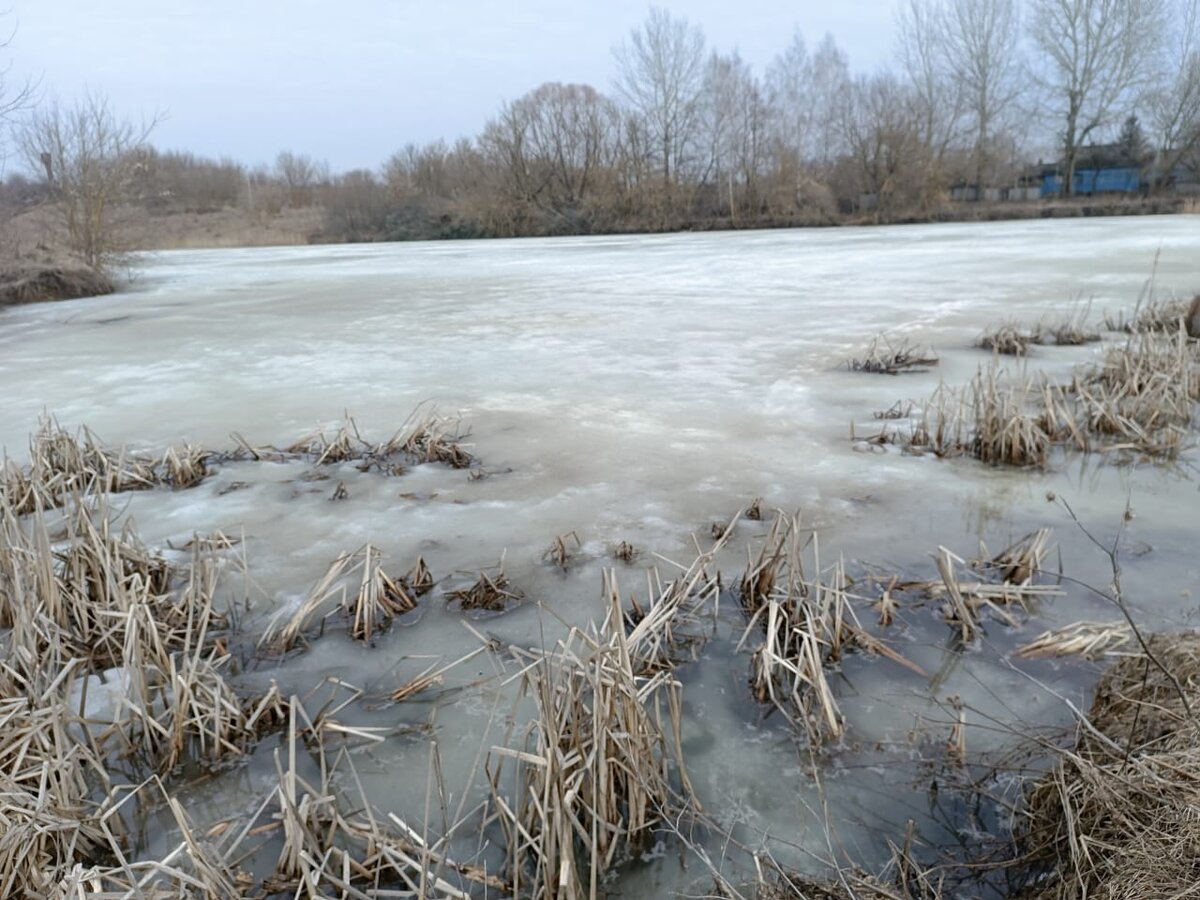 Это наш пруд приподнялся