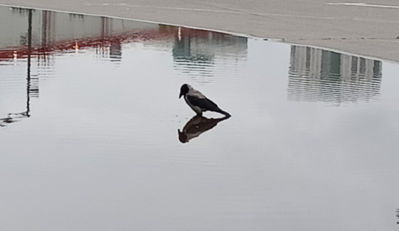 А и хороша лужа перед Бугров-центром!