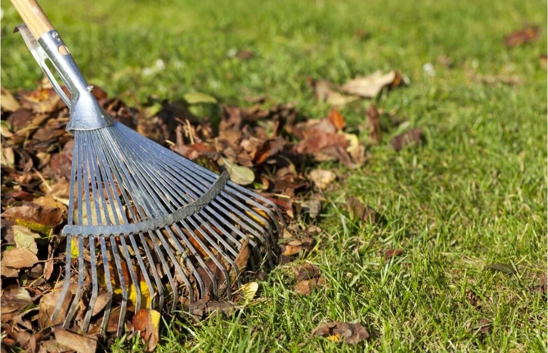 Уборка листвы в саду
